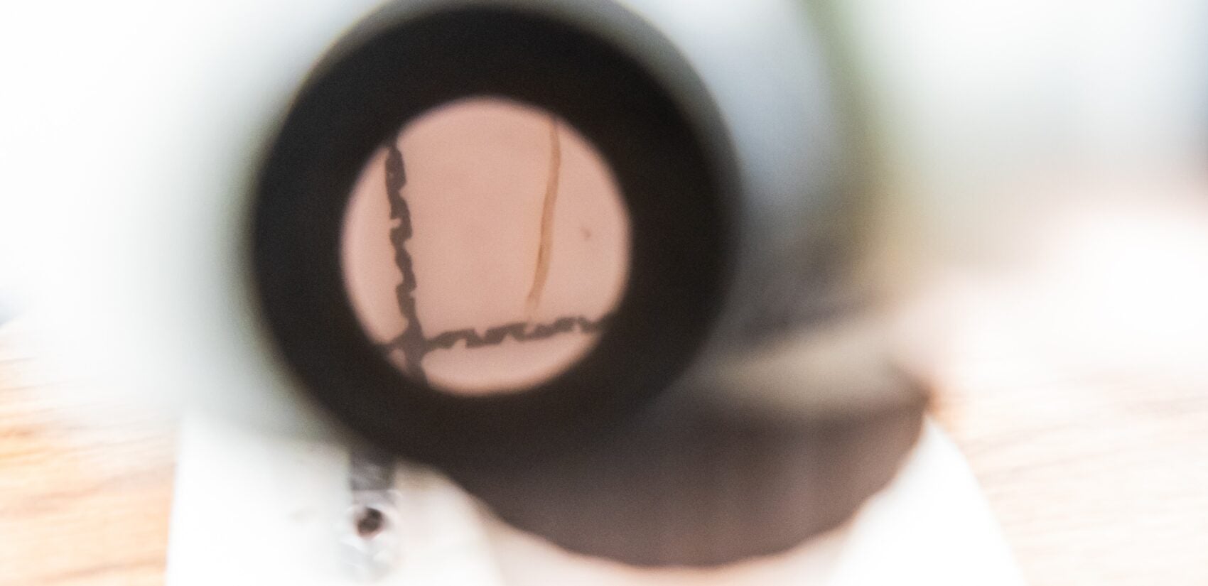 What’s presumed to be a bit of plastic seen through a microscope in a water sample