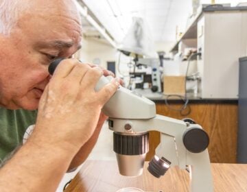 Bob Meyer looks into a microscope