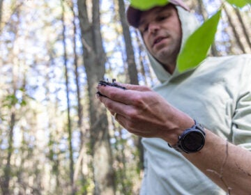 Charles Schutte, an assistant professor at Rowan University’s Department of Environmental Science, holds soil from an Atlantic white cedar swamp