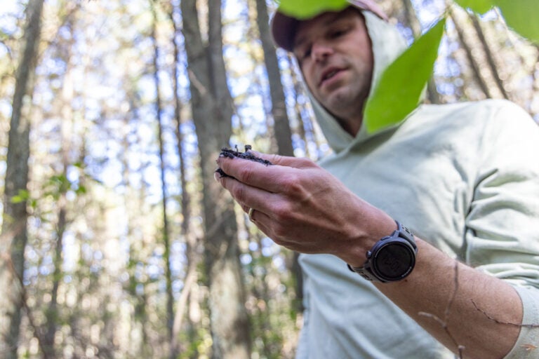 Charles Schutte, an assistant professor at Rowan University’s Department of Environmental Science, holds soil from an Atlantic white cedar swamp