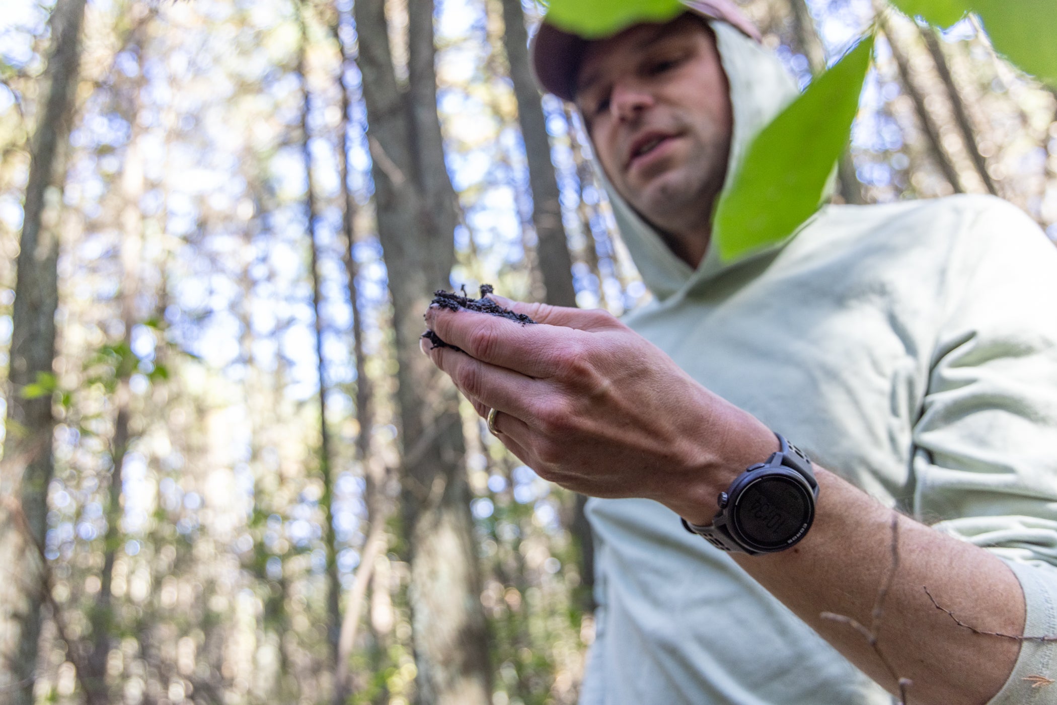 New Jersey Pine Barrens offer up answers to tough climate questions