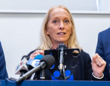 11 3 2025 k paynter 1200x congressional reps at bebashi food bank-2 Mary Gay Scanlon speaks