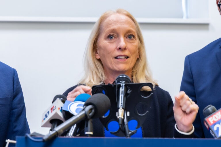 Mary Gay Scanlon speaks