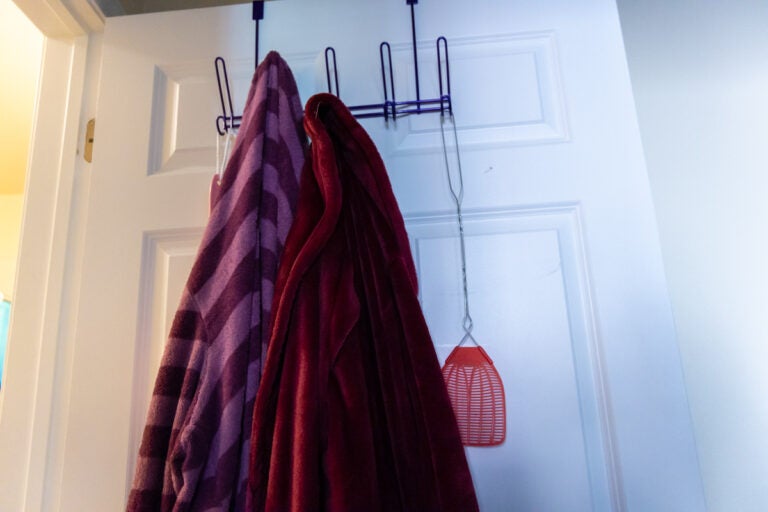 After spending less than a year in an apartment that was completely infested with roaches, Lori Peterson still keeps bug swatters in every room of her new apartment.