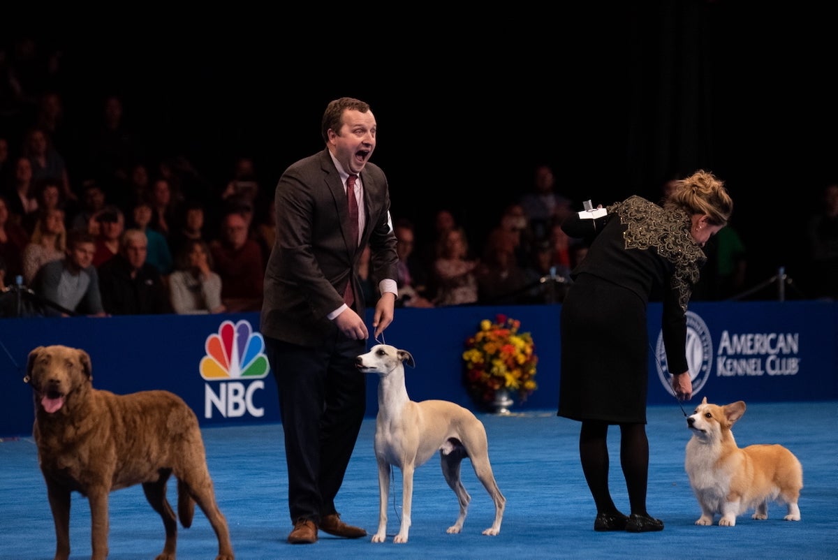 Justin Smithey reacting to victory at dog show
