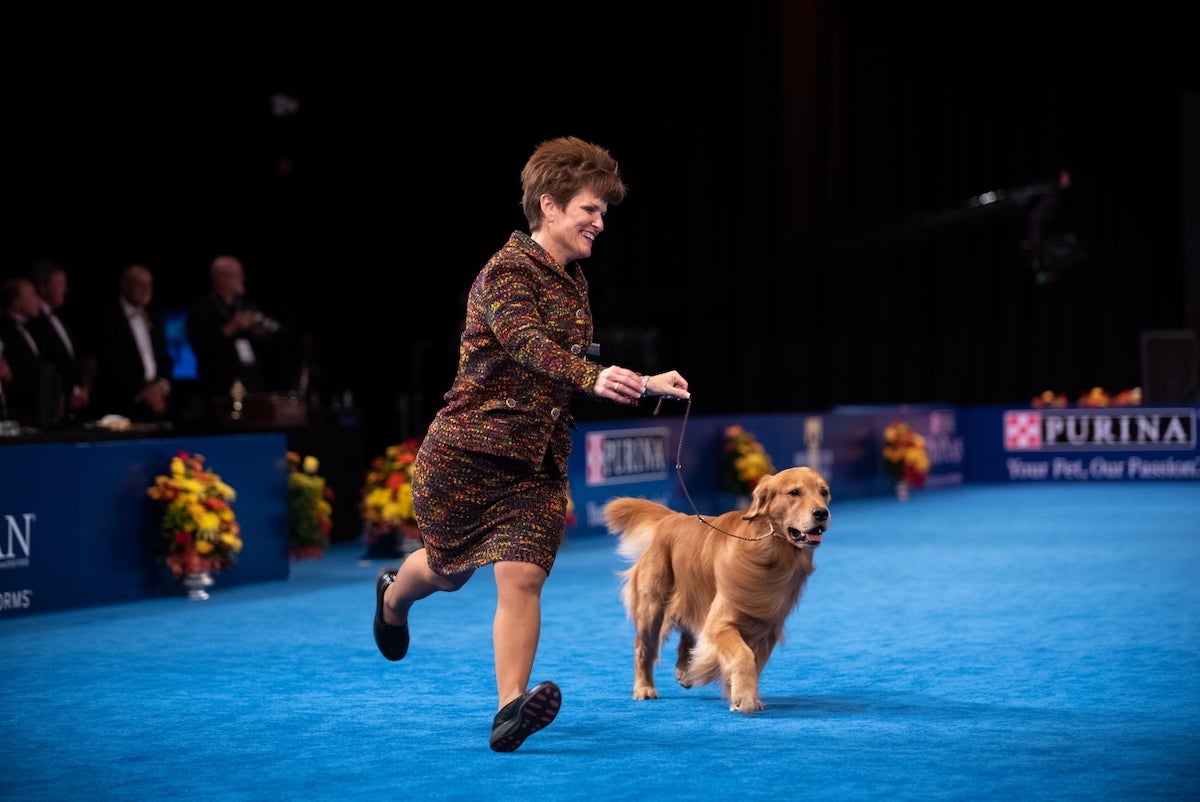 Karen Mammano running with golden retriever Daniel