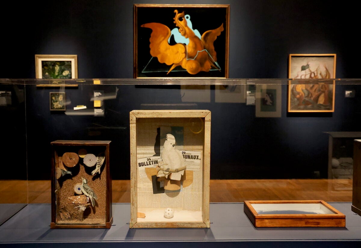 Joseph Cornell's shadowboxes (foreground) and ''Chimera'' by Max Ernst (top center)
