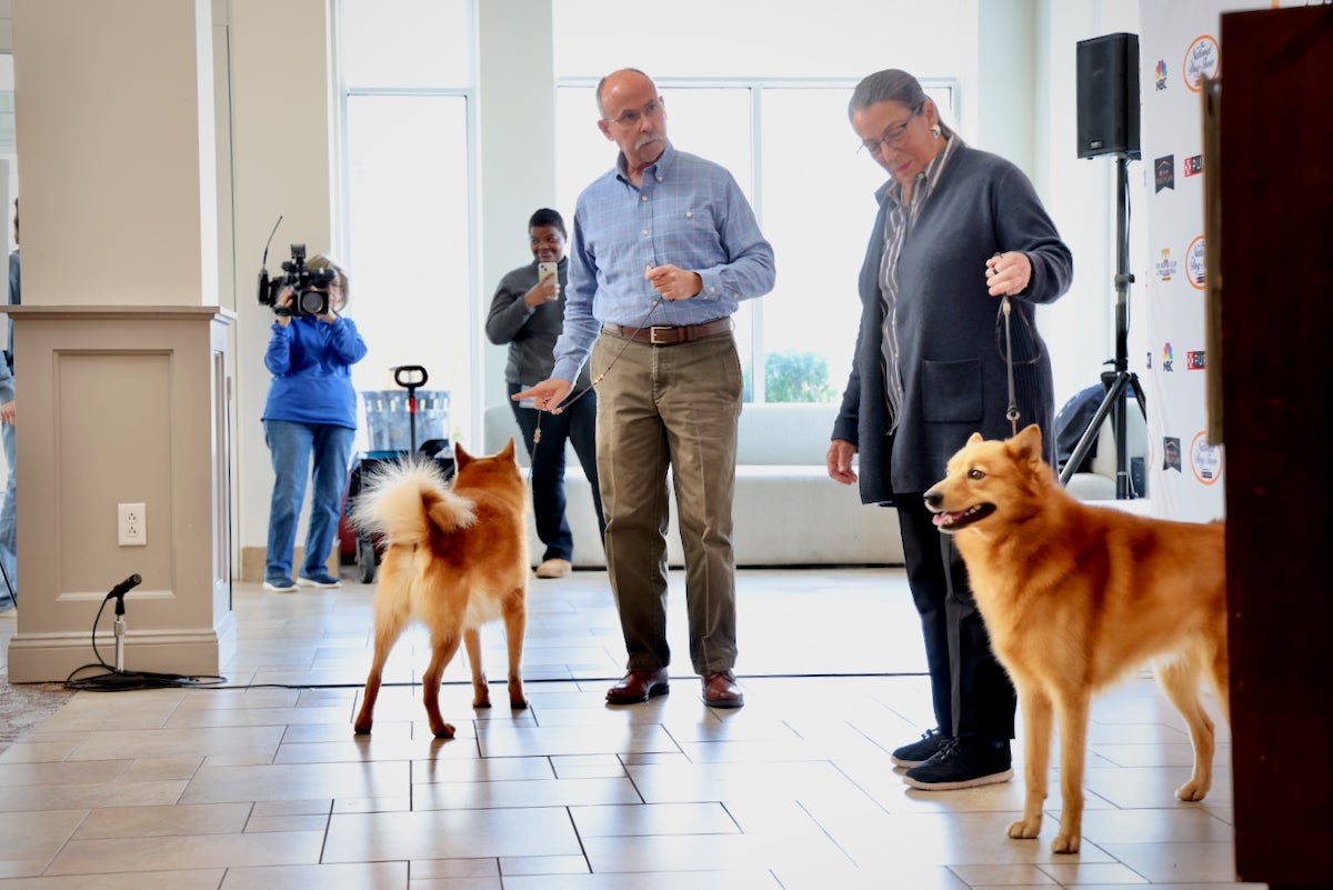 Bill Swartz and Sue Marshall trot out their Finnish spitz dogs