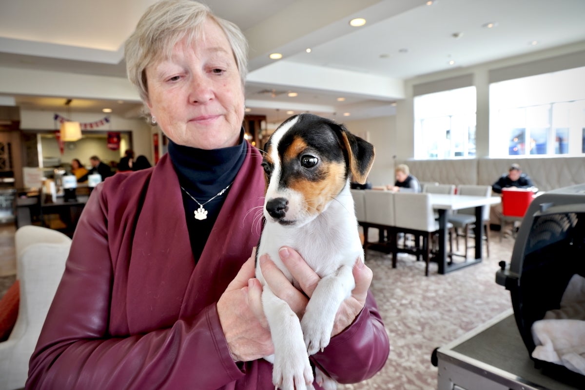 Marty Greer holding Danish-Swedish farmdog