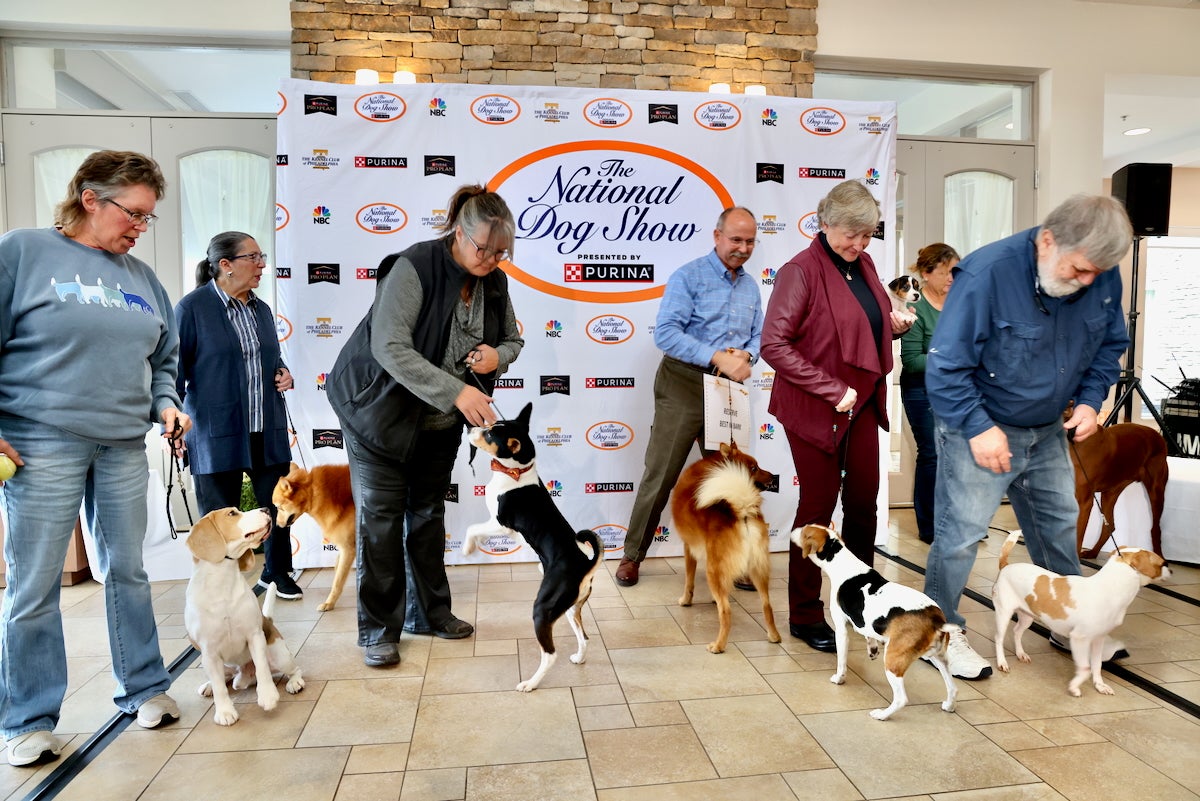Participants in the canine bark-off gather for a group photo