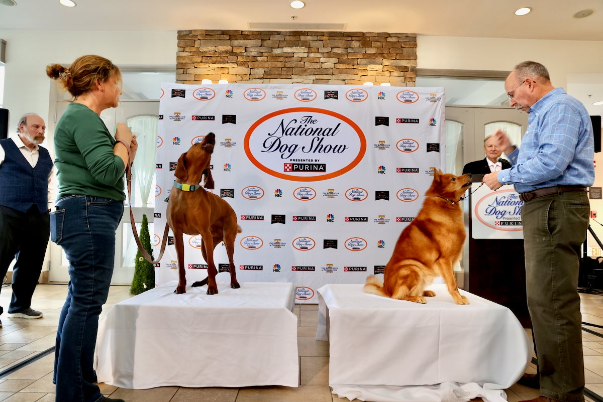 Two dogs and two owners at the finalist tables