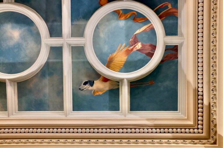 Vaulted fifth floor ceiling of the Manufacturers National Bank