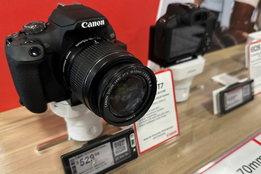 Canon cameras are displayed at a retail store