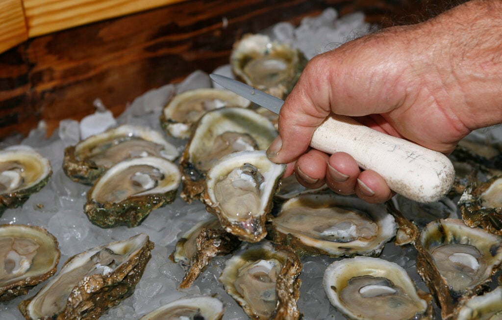 oysters are displayed in Apalachicola, Florida