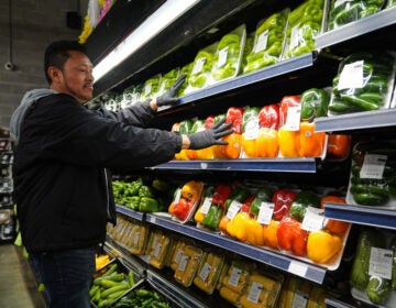 A grocery store employee stocks produce