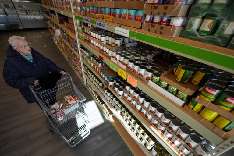 A woman shops for groceries