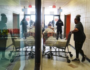 APTOPIX Government Shutdown-Food Aid Volunteer Karen Robinson moves groceries durning an emergency food distribution at The Jewish Federation of Greater Philadelphia's Mitzvah Food Program in Philadelphia, Friday, Nov. 7, 2025
