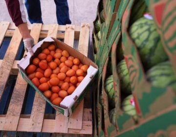 Government Shutdown Food Bank A volunteer reaches for a box of tomatoes
