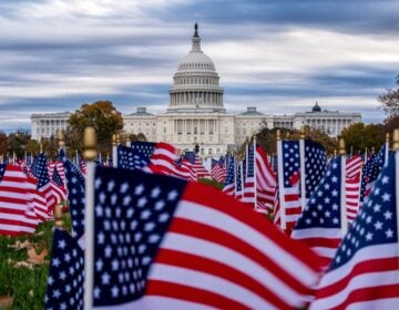 APTOPIX Government Shutdown Miniature American flags flutter in wind gusts across the National Mall near the Capitol in Washington, Monday, Nov. 10, 2025.