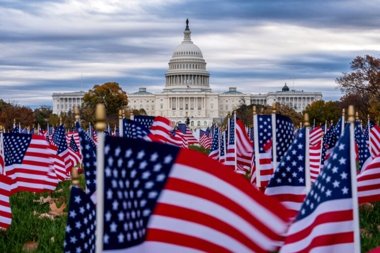 Miniature American flags flutter in wind gusts across the National Mall near the Capitol in Washington, Monday, Nov. 10, 2025.