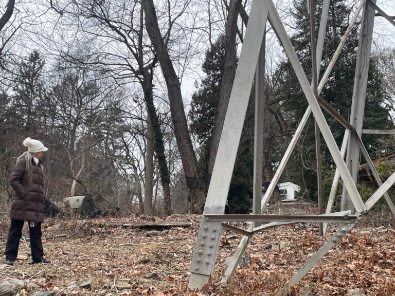 Lisa Wilson Riblett standing next to a transmission tower