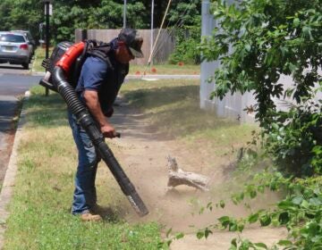A man using a leaf blower to clear a sidewalk