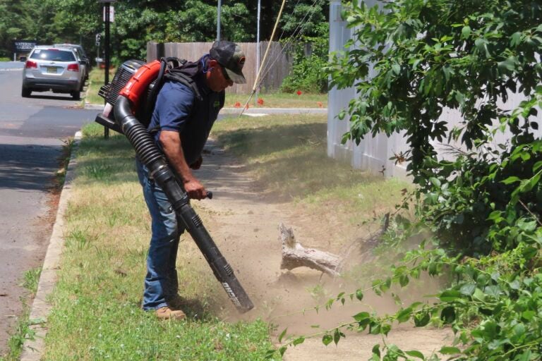 A man using a leaf blower to clear a sidewalk