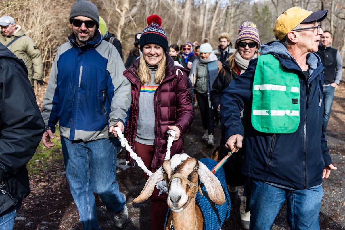 A lot of people are walking through Philadelphia's Wissahickon Park, all dressed for winter. In the front, A goat is walking, with 3 different people holding onto leashes attached to it.