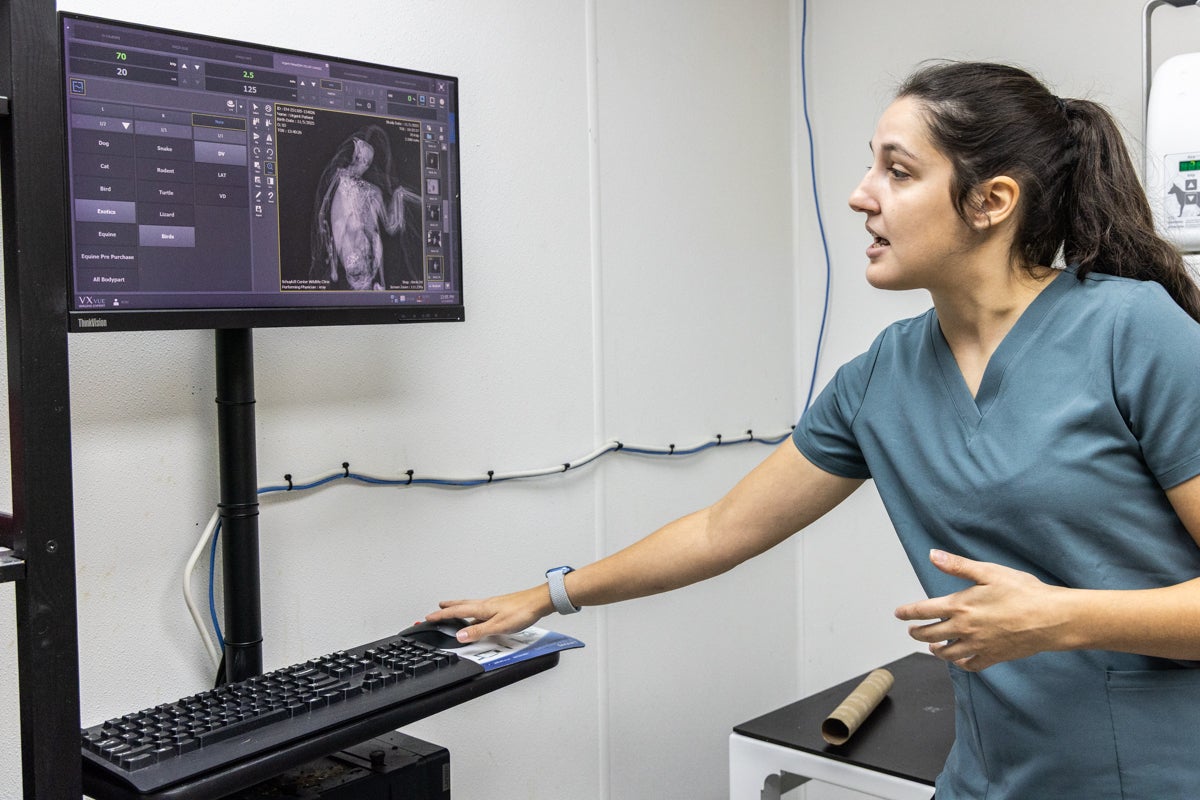 Sydney Glisan looking at an x-ray