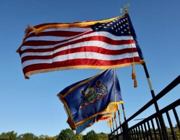 2025 10 09-e lee-philadelphia navy yard-250th anniversary flags Flags fly at the Philadelphia Navy Yard in celebration of the 250th anniversary of the United States Navy and Marine Corps.