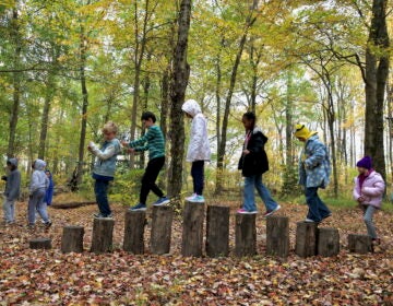 Young students from Keystone Elementary School's Nature Club in Croydon walk across a makeshift bridge of wooden stumps in the middle of Croydon Woods.