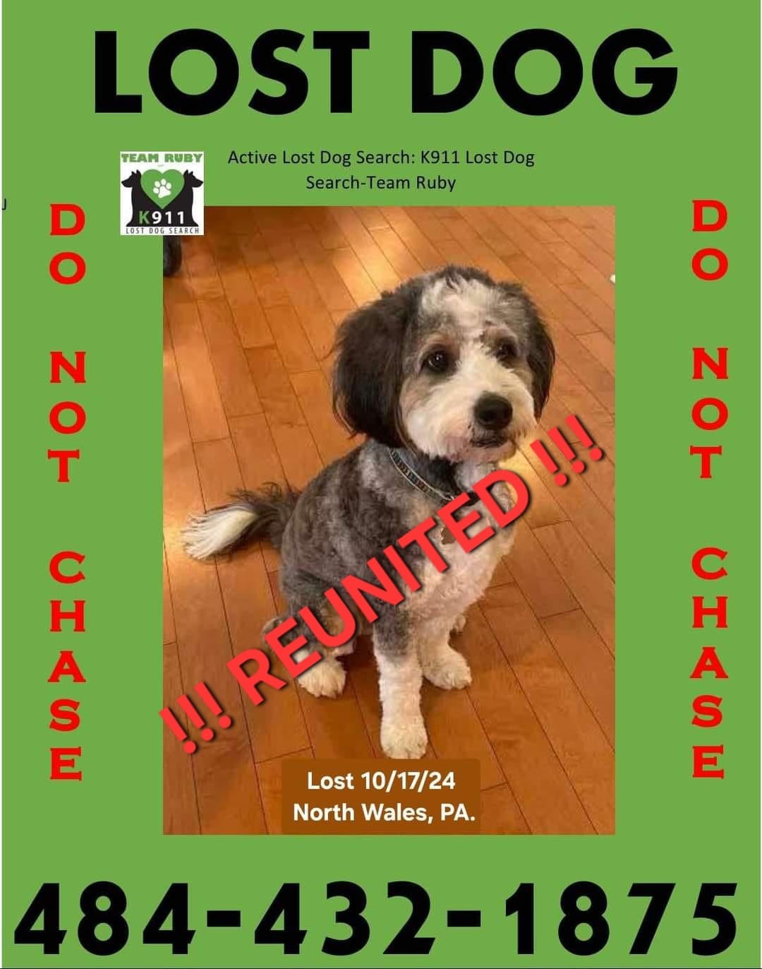 Image of online flyer used by Team Ruby K911 Lost Dog Search to locate Lenny. Photo from K911 Lost Dog Search Facebook page.jpg.