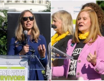 MixCollage-10-Dec-2025-05-16-PM-1551 (Annie Farmer and Liz Stein speaking at a Stand with Survivors Rally on Capitol Hill, Wednesday, Sept. 3, 2025, in Washington. (AP Photo/Rod Lamkey, Jr.)