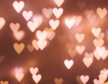 freestocks-Y9mWkERHYCU-unsplash