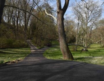 heyburn-road-chadds-ford-del-court-2025-12-15 A remote stretch of road surrounded by woods