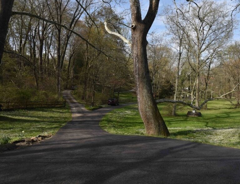 A remote stretch of road surrounded by woods