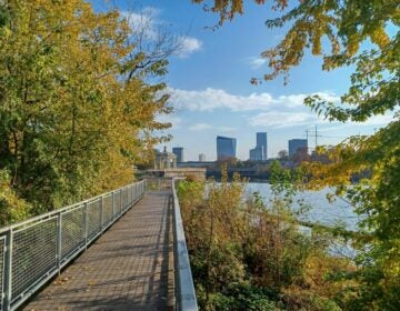 The boardwalk on the Fairmount Water Works Trail