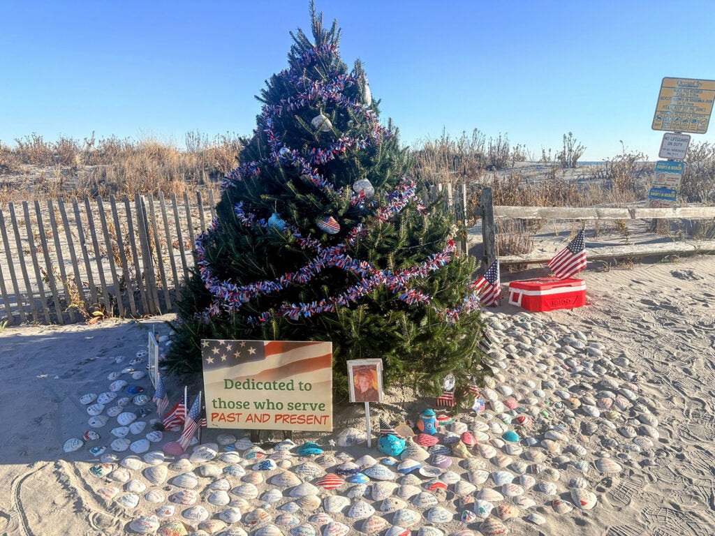 The Military Tree in Ocean City, New Jersey