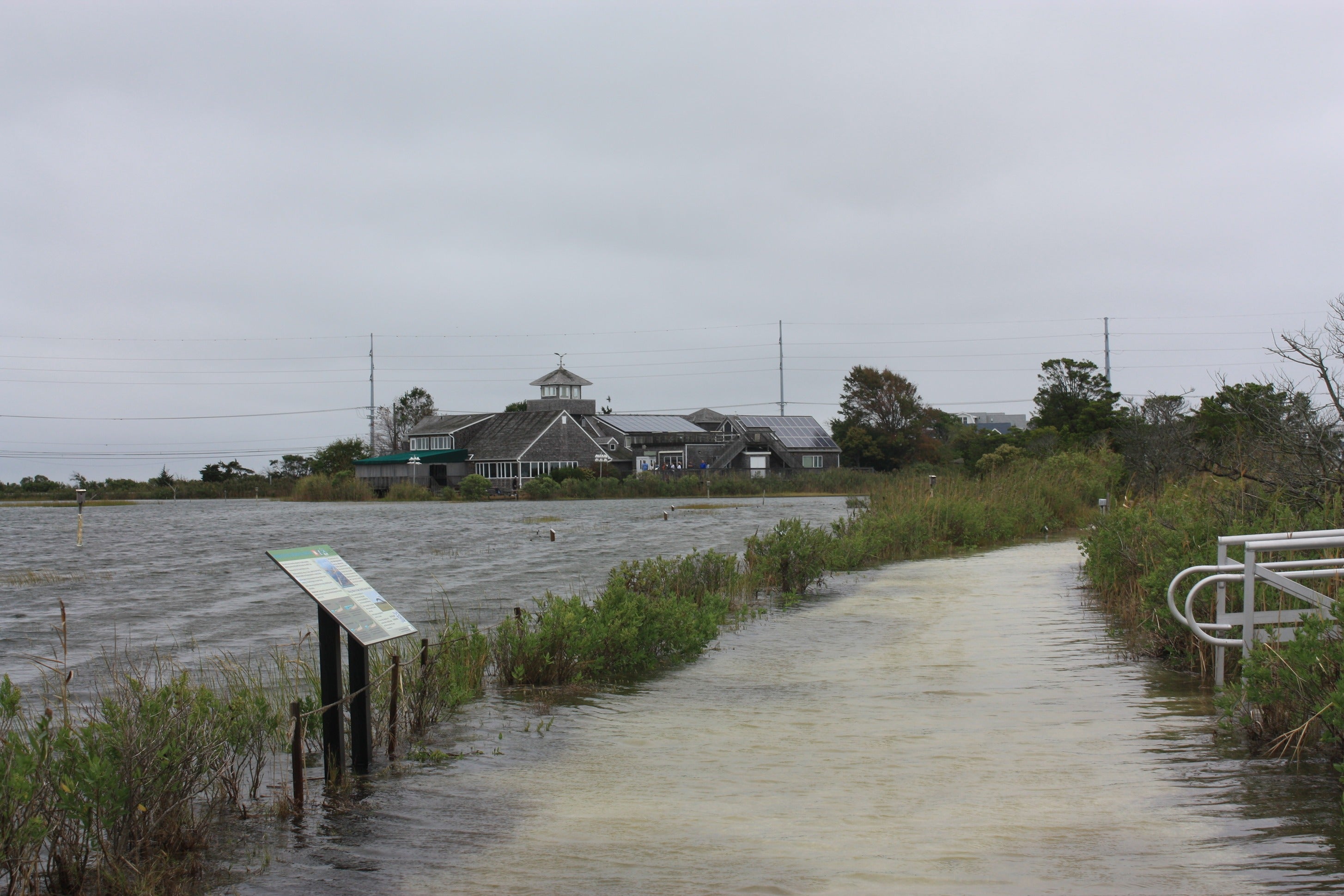 New Jersey coastal wetlands