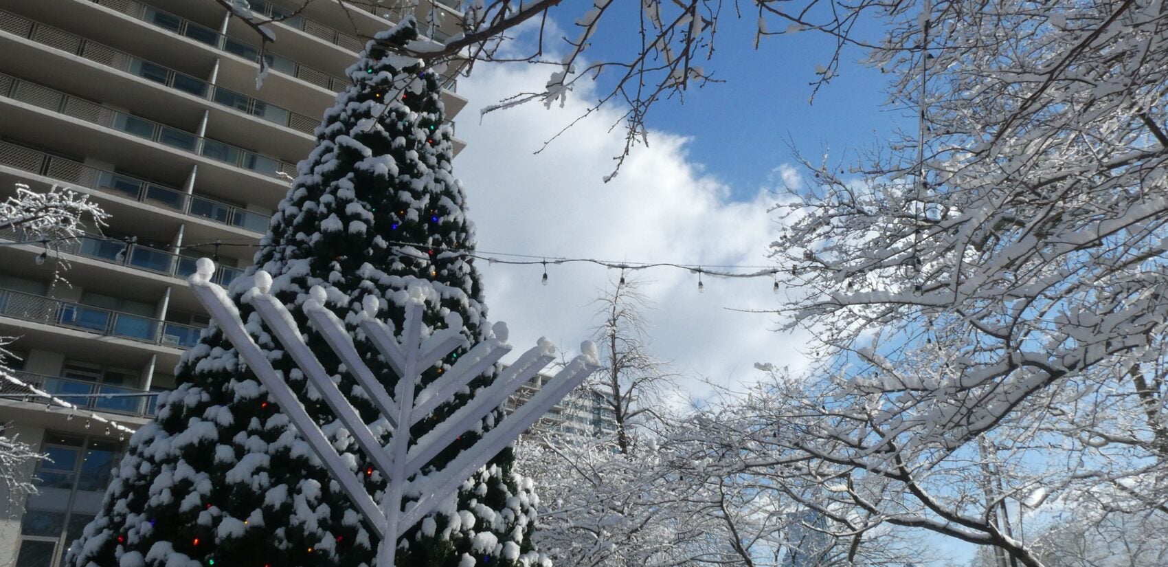 a menorah covered in snow