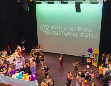 philadelphia_cultural-fund-art-grants1 A crowd is gathered as the words