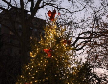 Decorated Christmas tree in Rittenhouse Square