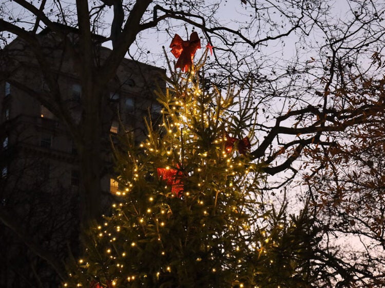 Decorated Christmas tree in Rittenhouse Square