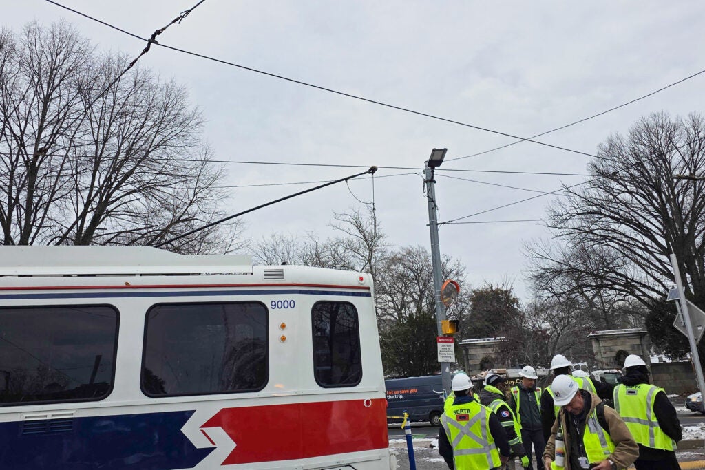 Worker up on a ladder working on a power line