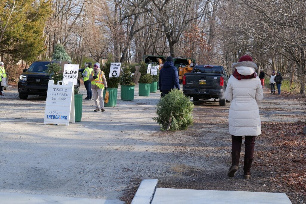 people dropping off Christmas trees