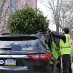 Delaware residents encouraged to recycle Christmas trees at TreeCycle event