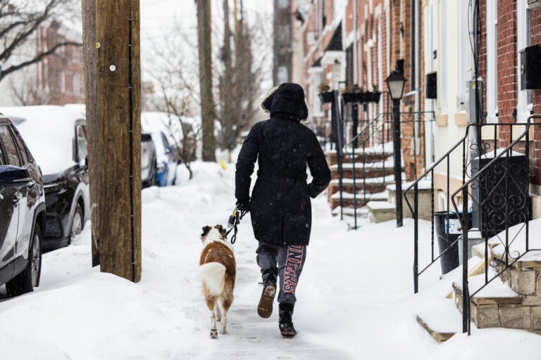 Cooper the dog enjoys the snow while walking with his human in Fishtown, Philadelphia, Jan. 25, 2026