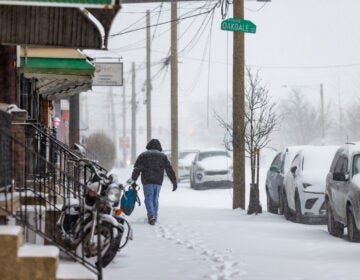 01 25 2026 k paynter sunday morning snow -3 A person walking on the sidewalk during a storm is leaving footprints in the snow