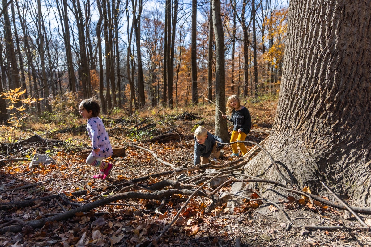 Children at the Schuylkill Center’s Nature Preschool play freely in the woods