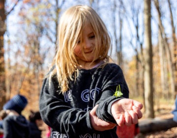 A Nature Preschool student holds a katydid on her arm in the woods